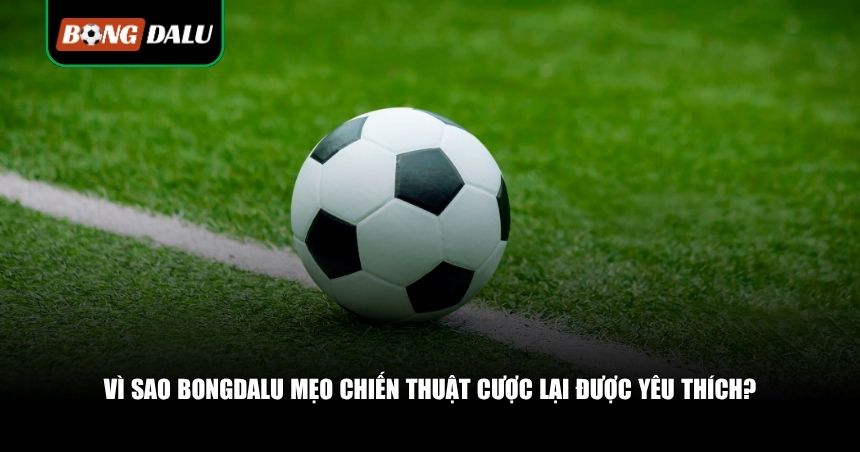 Bongdalu Mẹo Chiến Thuật Cược – Bí Quyết Cá Cược Hiệu Quả Mỗi Ngày 1 Bongdalu mẹo chiến thuật cược lại được yêu thích