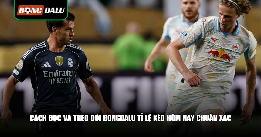 Bongdalu Tỉ Lệ Kèo Hôm Nay: Cập Nhật Nhanh, Soi Kèo Chuẩn 3 Cách đọc và theo dõi bongdalu tỉ lệ kèo hôm nay