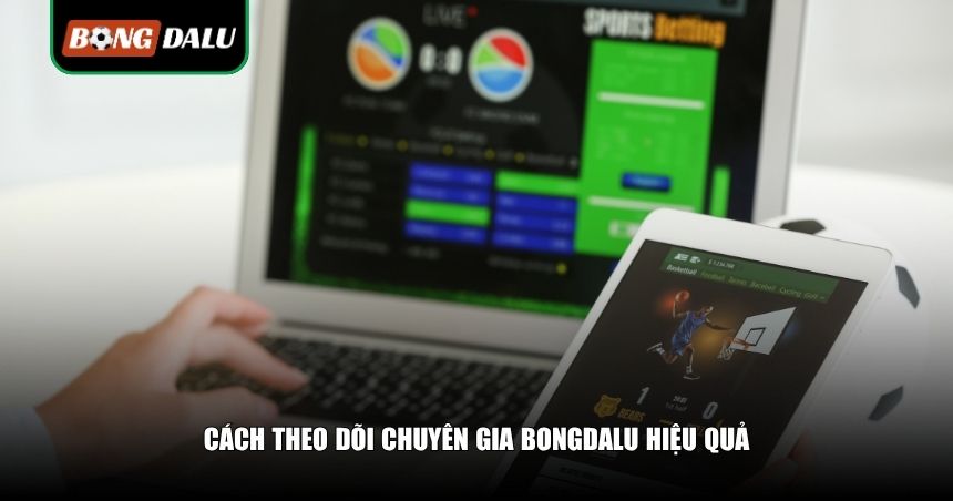 Cách theo dõi chuyên gia Bongdalu hiệu quả