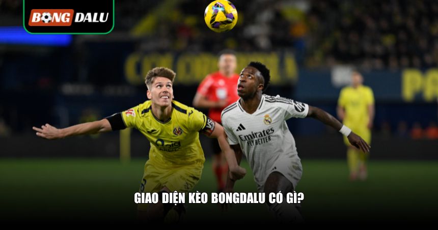 Hướng Dẫn Cách Đọc Tỷ Lệ Kèo Bongdalu Chi Tiết Từ A–Z Cho Người Mới 2 Giao diện kèo Bongdalu hấp dẫn