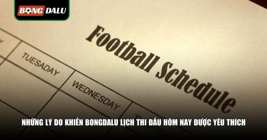 Những lý do khiến Bongdalu lịch thi đấu hôm nay được yêu thích