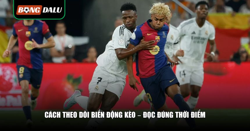 Hướng Dẫn Cách Đọc Tỷ Lệ Kèo Bongdalu Chi Tiết Từ A–Z Cho Người Mới 4 Cách theo dõi biến động kèo